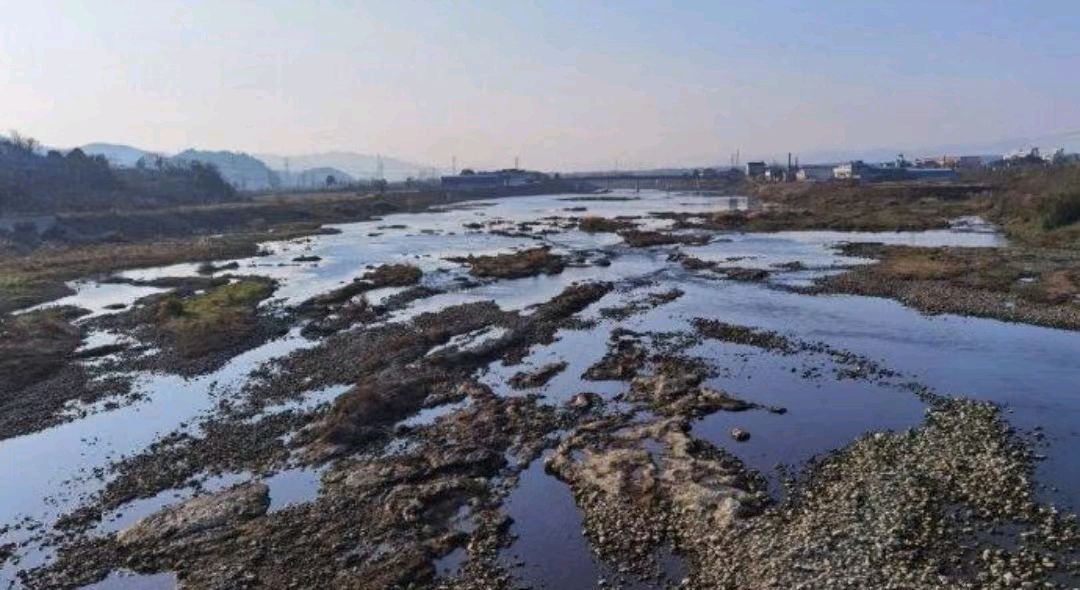 【国风湖南】第42期 癸卯佳韵(图10)