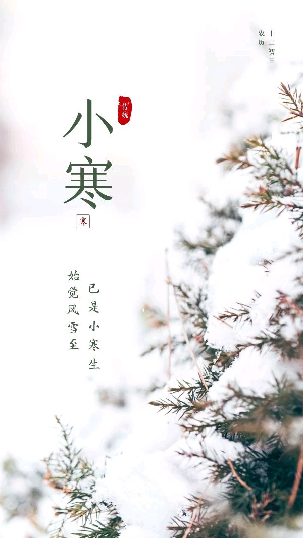 【神都诗社】龙门诗苑05期《小寒》（图7）