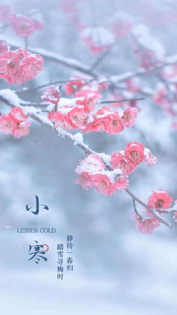 【神都诗社】龙门诗苑05期《小寒》（图9）