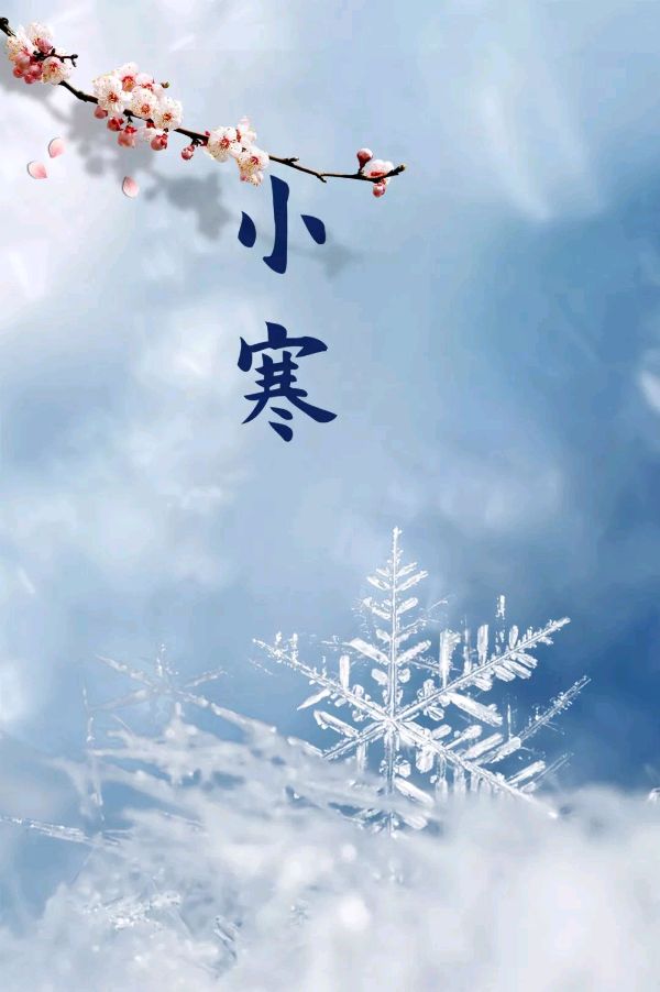 【神都诗社】龙门诗苑05期《小寒》（图11）