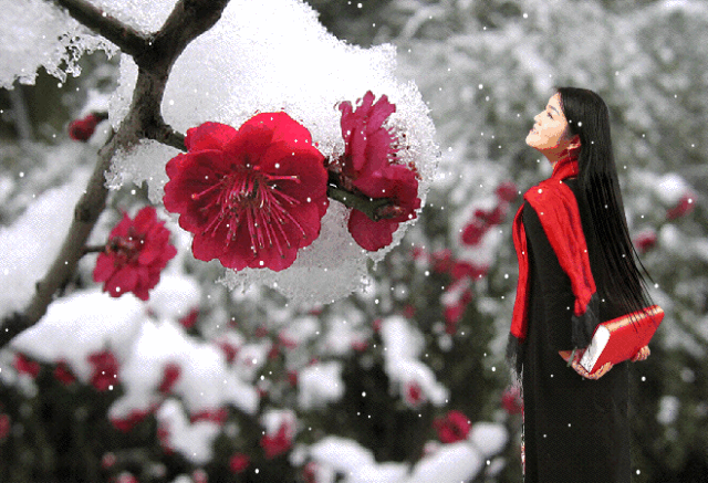 【中华好诗词】分享优秀诗人任启辉《喜迎初雪》请欣赏（图4）