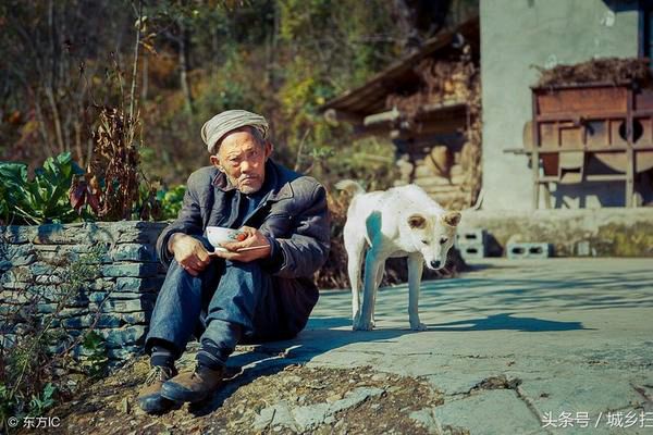 【北京头条】推介优秀诗人张泽贵先生《留守老人》请关注（图5）