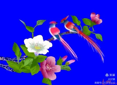 分享四位老师鼓励/编辑（溪水紫兰）周玉欣请君关注（图8）