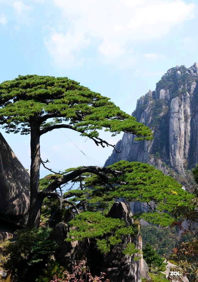 【神都诗社】第078期《黄山》（图5）
