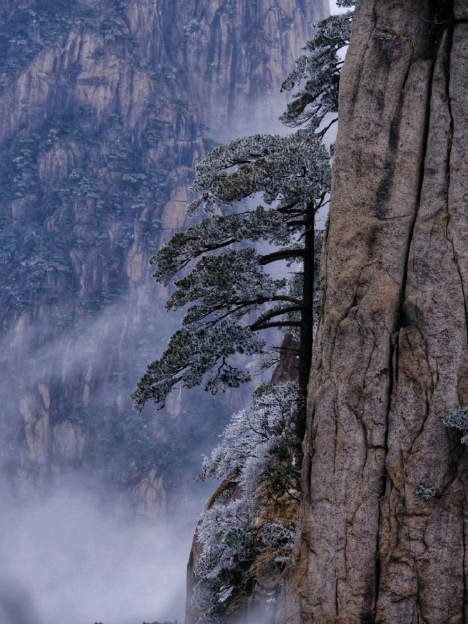 【神都诗社】第078期《黄山》（图8）
