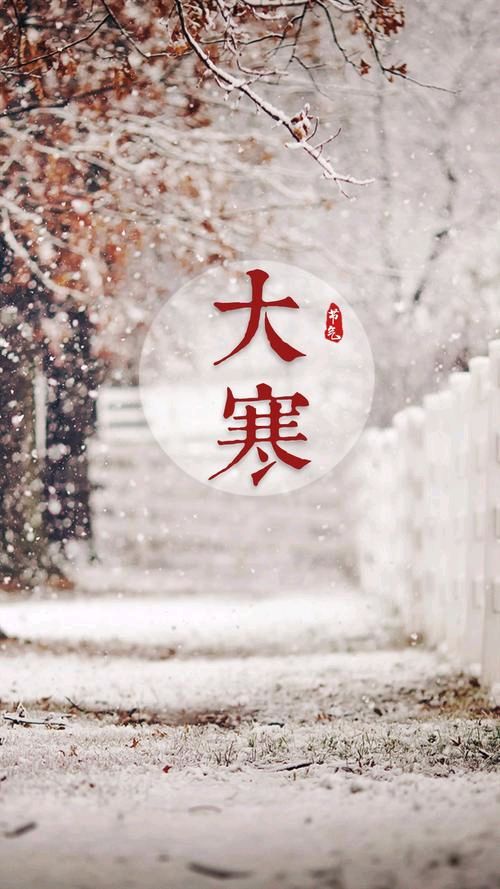 【枫雅汇看图约诗】诗人陈江《250期》（大寒）（图5）