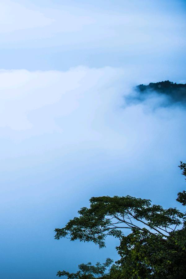【神都诗社】第079期《庐山》（图15）