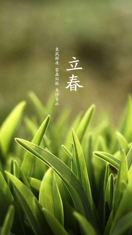 【枫雅汇看图约诗】第322期《立春》（图9）