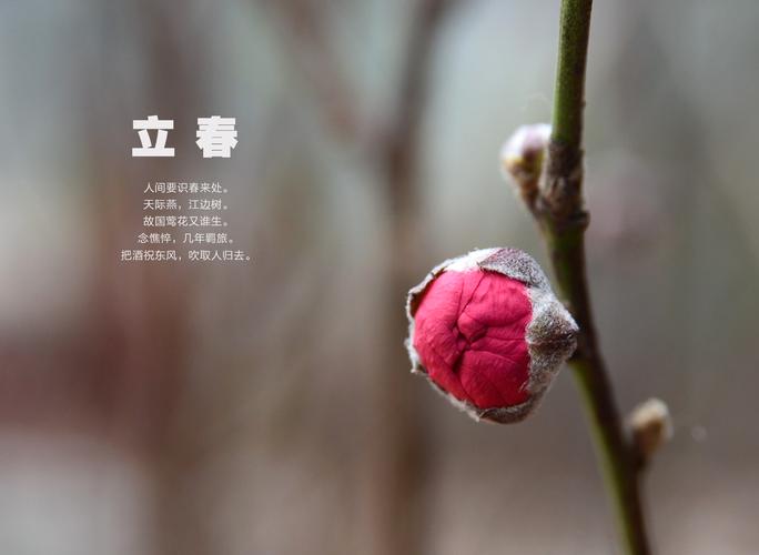 【枫雅汇看图约诗】第322期《立春》（图14）