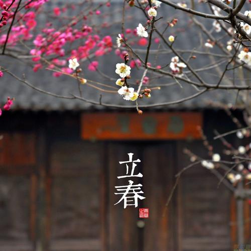 【枫雅汇看图约诗】第322期《立春》（图19）