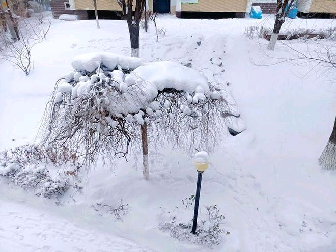 塞北雪-文/罗奕梅-西银/北京头条（图2）