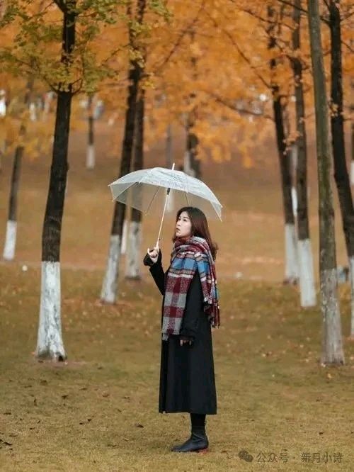 再见，冬天的雨-文/李铁民-西银/北京头条（图2）