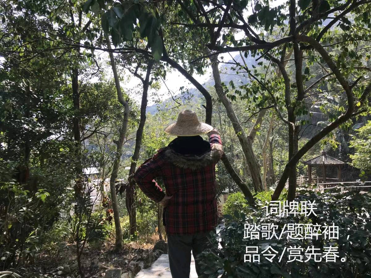 本草对联·龙年-撰联/古广祥-西银/北京头条（图2）