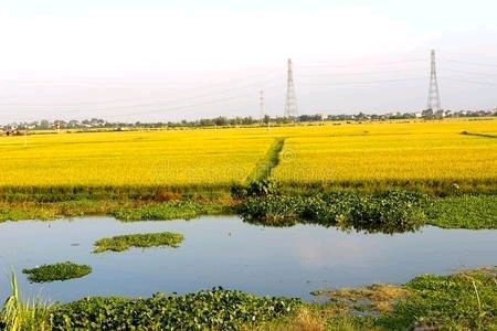 《徒骇河 在我情怀里流淌》作者/孟宪法 诵读/张丽编辑/五指山【花雨馨声】第563期（图7）