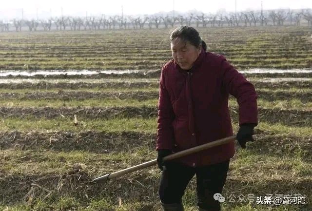 二嫂(微小说)-作者/ 王国文-西银/北京头条(图2)