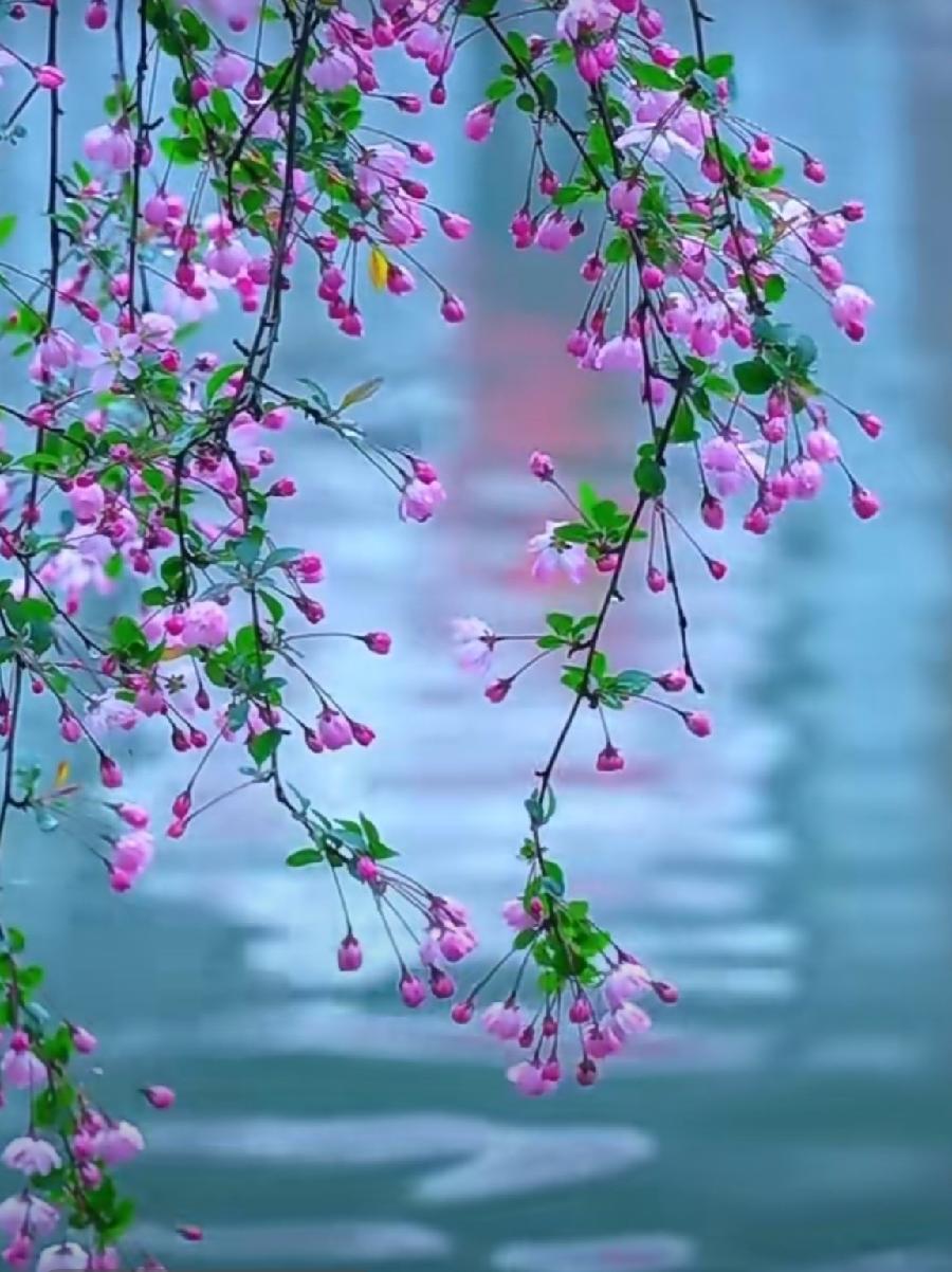 《军 神》作者: 常彤语(图3)