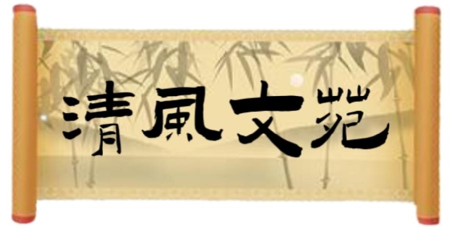 感谢这褴褛的皮囊……让光有了入口(324)