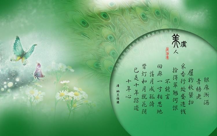 杨林柯：只有模糊的思想才用模糊的语言表达