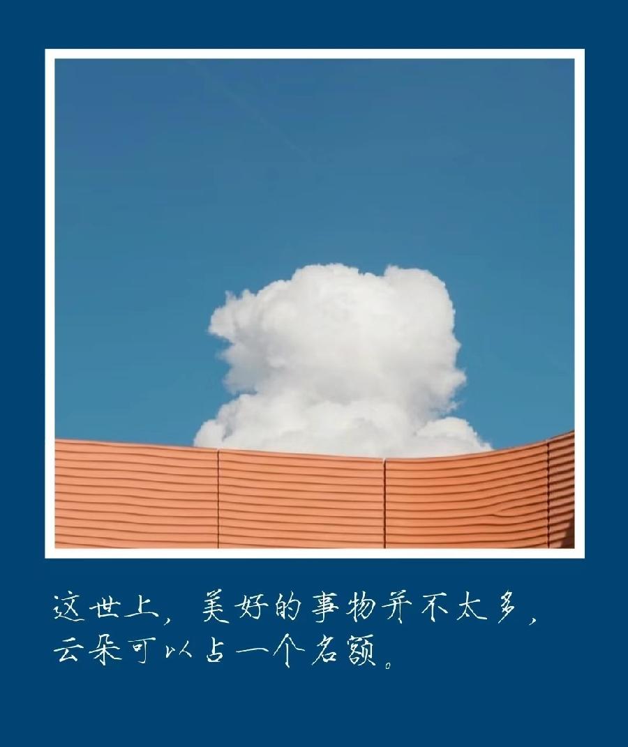 224位诗者 同题诗《和一朵云对视》【下】【华人诗者联盟】诗歌点亮生活(图5)