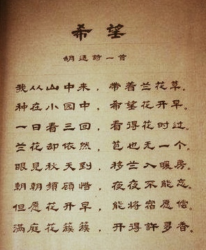 杨林柯:只有模糊的思想才用模糊的语言表达(图3)