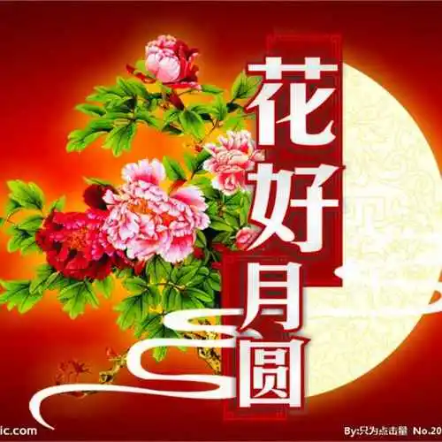 恭贺张全红.秦战萍为令郎结婚之禧（图10）