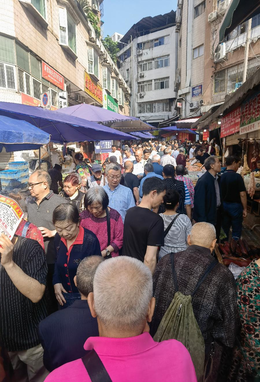 「散文」又逢南坪赶场天（图12）