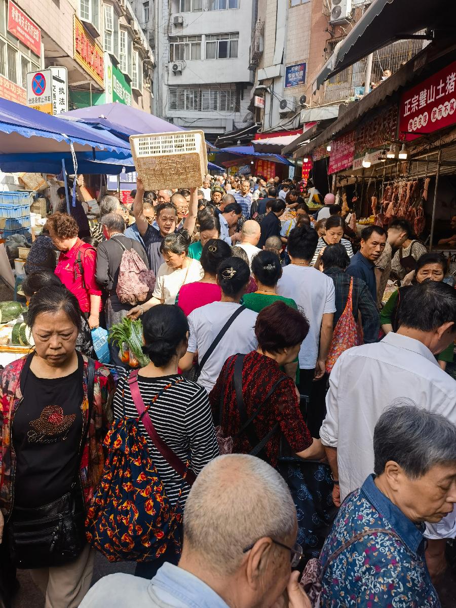 「散文」又逢南坪赶场天（图16）
