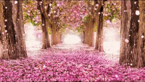【枫雅汇看图约诗】第333期《落花吟》(图16)