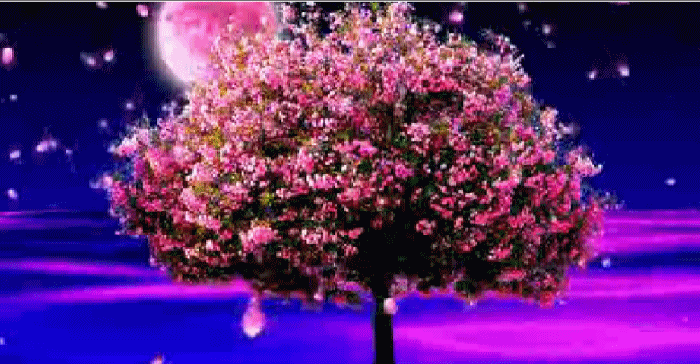 【枫雅汇看图约诗】第333期《落花吟》(图18)