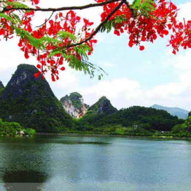 岸芷汀兰文学社第29期(图33)