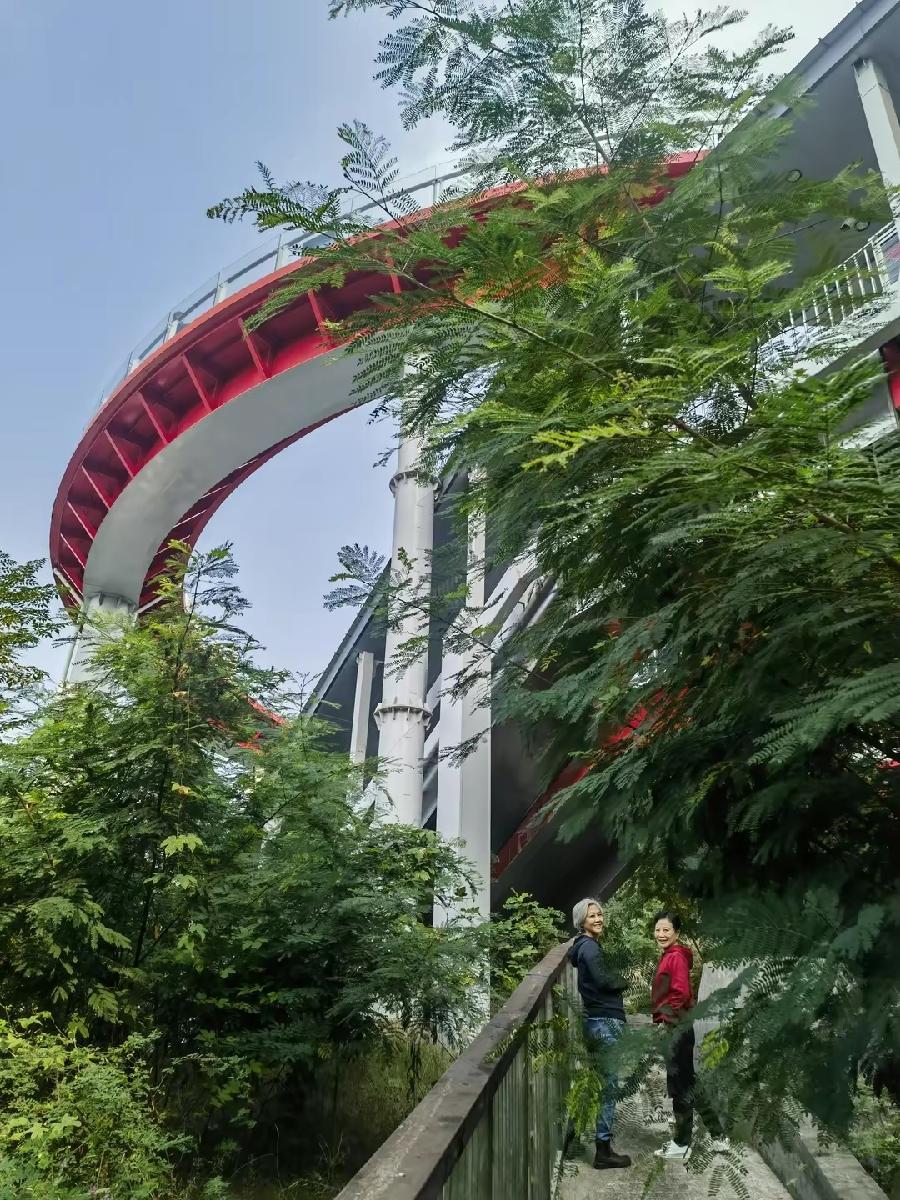 「散文」五一再游“铜元之光”（图22）