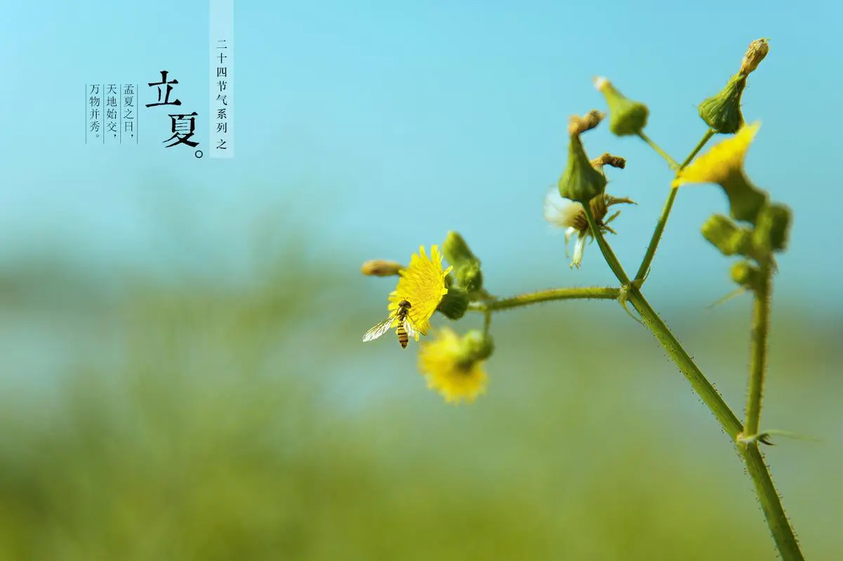陕西作家徐社荣《五一.立夏，初夏的雨》诗歌欣赏（图8）