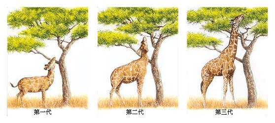 中国小品文大王黄小平：用进废退，越用越顺，越动越灵（图2）