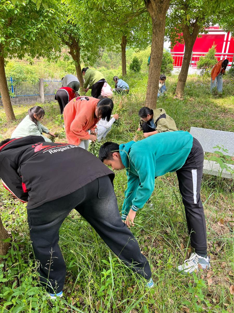 学生5 学生5