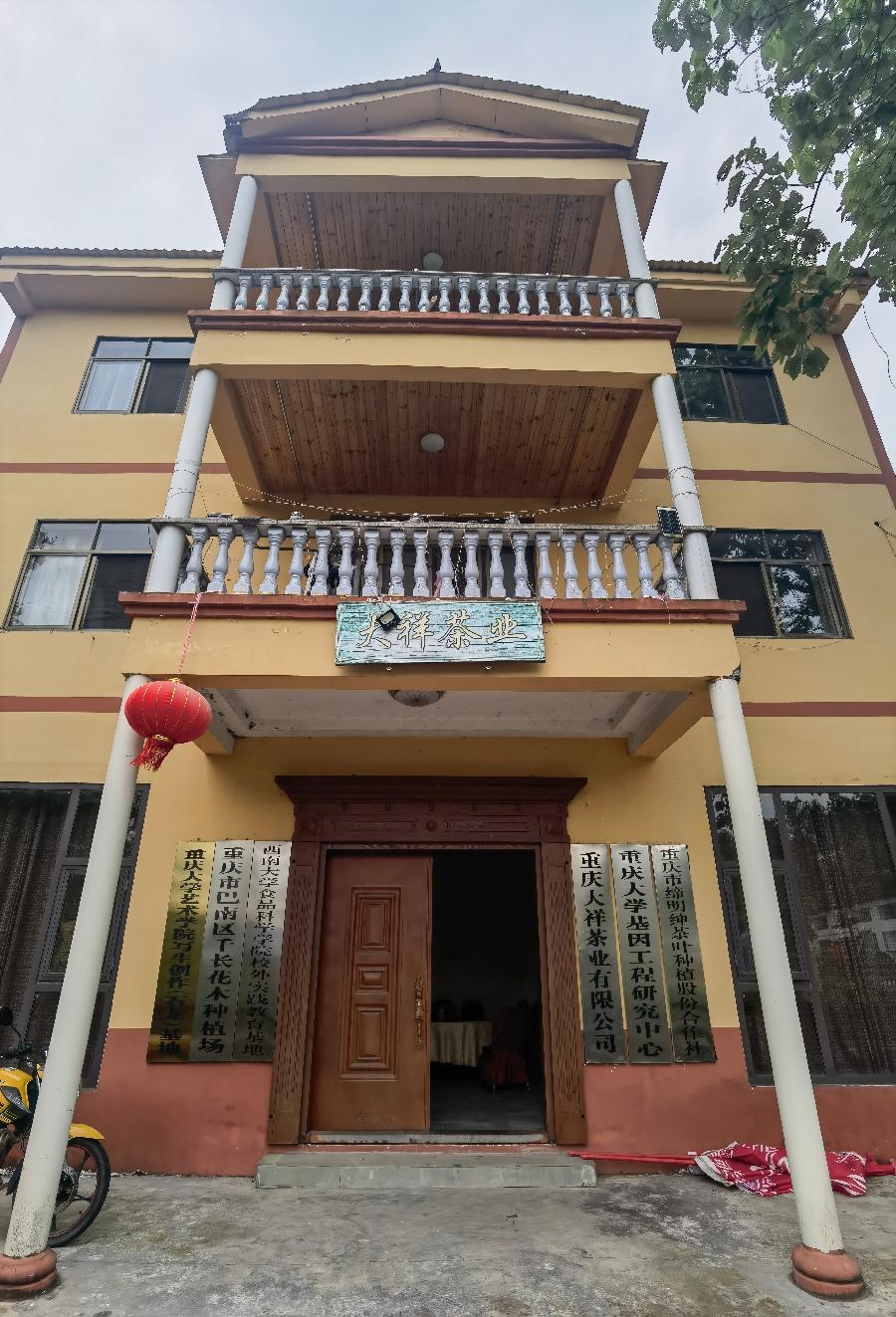 「游记专访」石龙山乡女强人‖巴南区石龙绣球花海民营企业家张祥英纪实(图18)