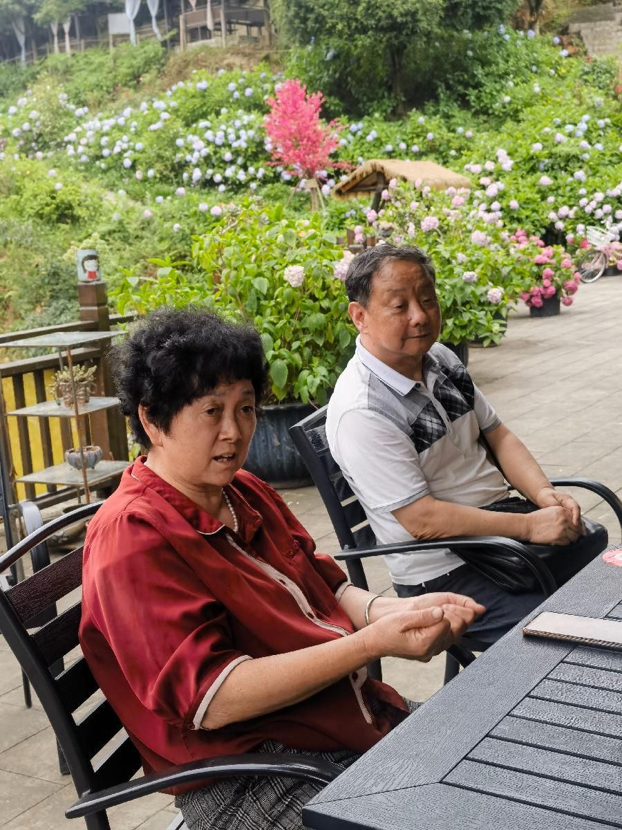「游记专访」石龙山乡女强人‖巴南区石龙绣球花海民营企业家张祥英纪实(图29)