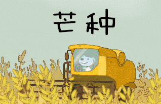 【神都诗社】龙门诗苑014期《芒种》（图17）