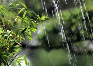 陕西张志民《夏雨，无语的青春》（图6）