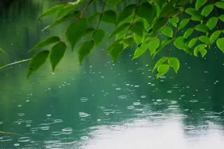 陕西张志民《夏雨，无语的青春》（图8）