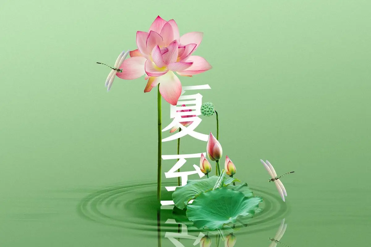 陕西张志民《夏至》（图8）