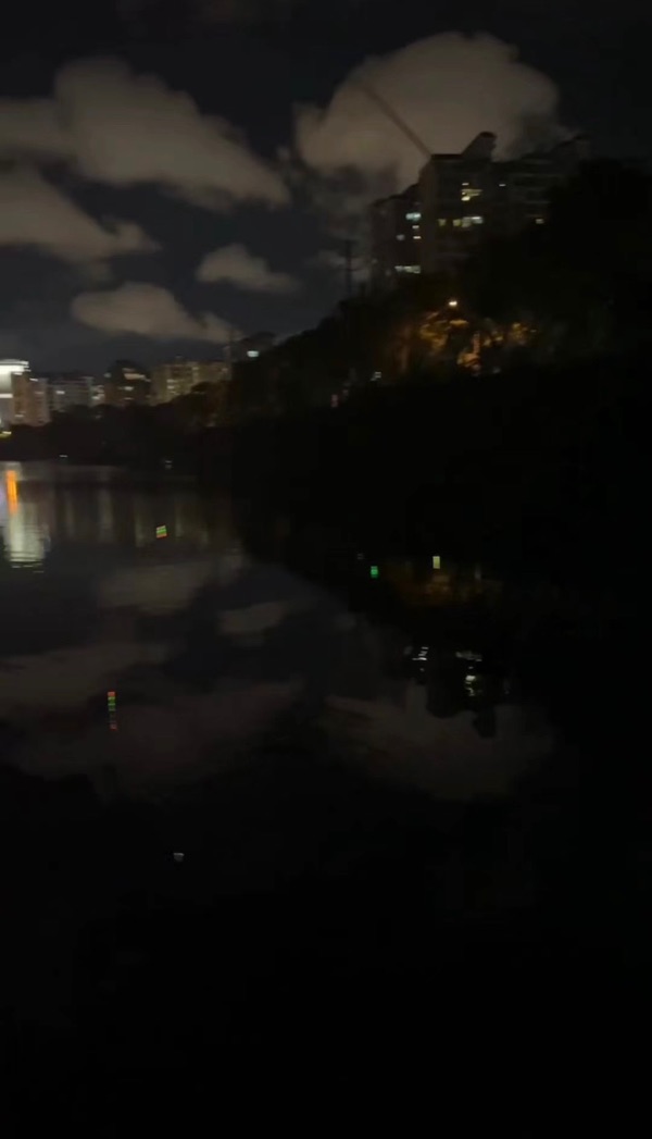 落花雨_文／南疆一_京津沪头条（图2）