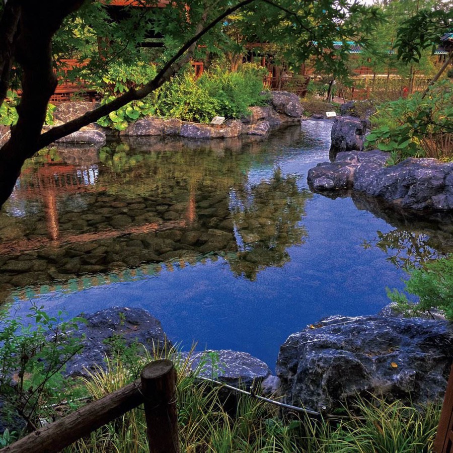 七律_盛夏吟_二十首_文/杨振国（北京）京津沪头条