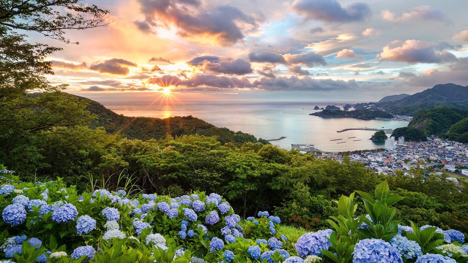 七律_盛夏吟_二十首_文/杨振国（北京）京津沪头条（图5）