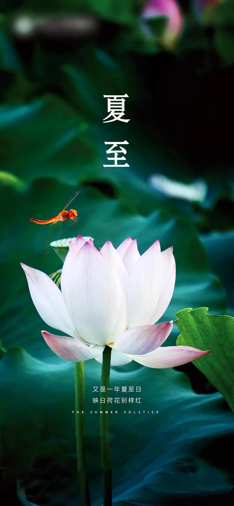 夏日随笔诗五首／张昕（图2）