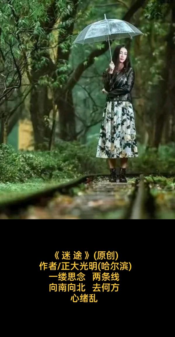 荐赏:💖 题图微诗三首//作者:正大光明(哈尔滨)//《神州诗词》征稿//都市头条（图3）