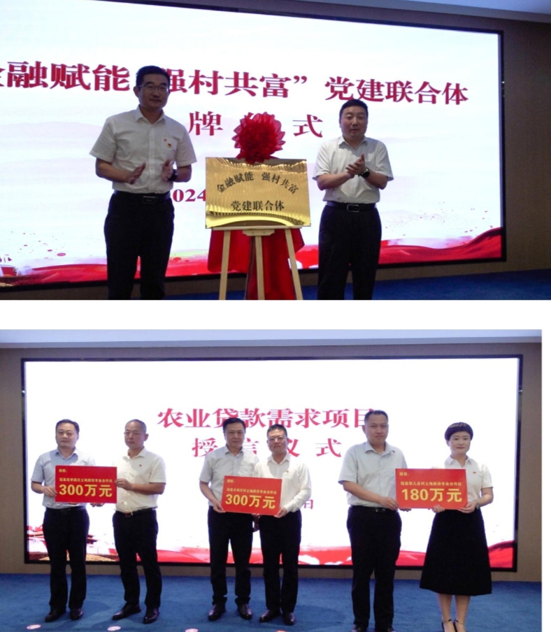 聊城：深入开展“党旗插田间 聚力促共富”为第一书记抓党建促乡村振兴提供金融赋能活动（图4）