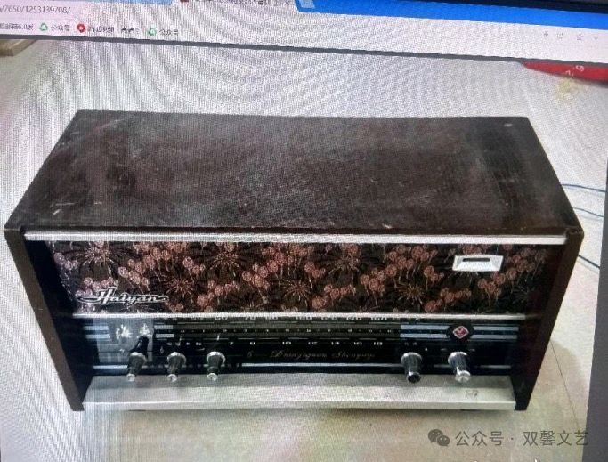 蓝建新的散文‖迟齐的“嫁妆” ——我们家的三转一响四十八条腿（图5）