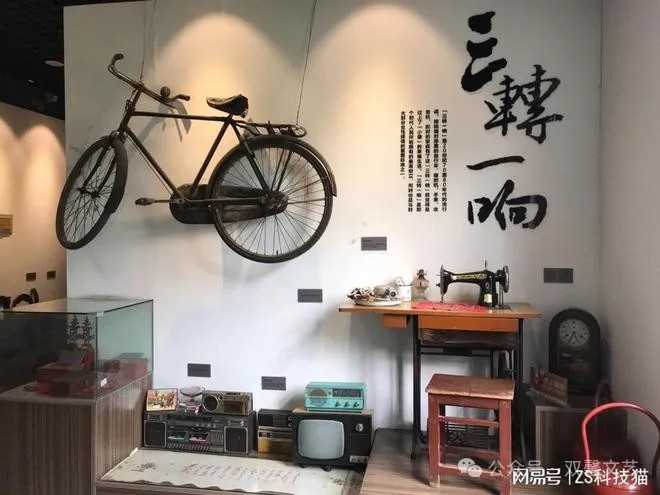 蓝建新的散文‖迟齐的“嫁妆” ——我们家的三转一响四十八条腿(图6)