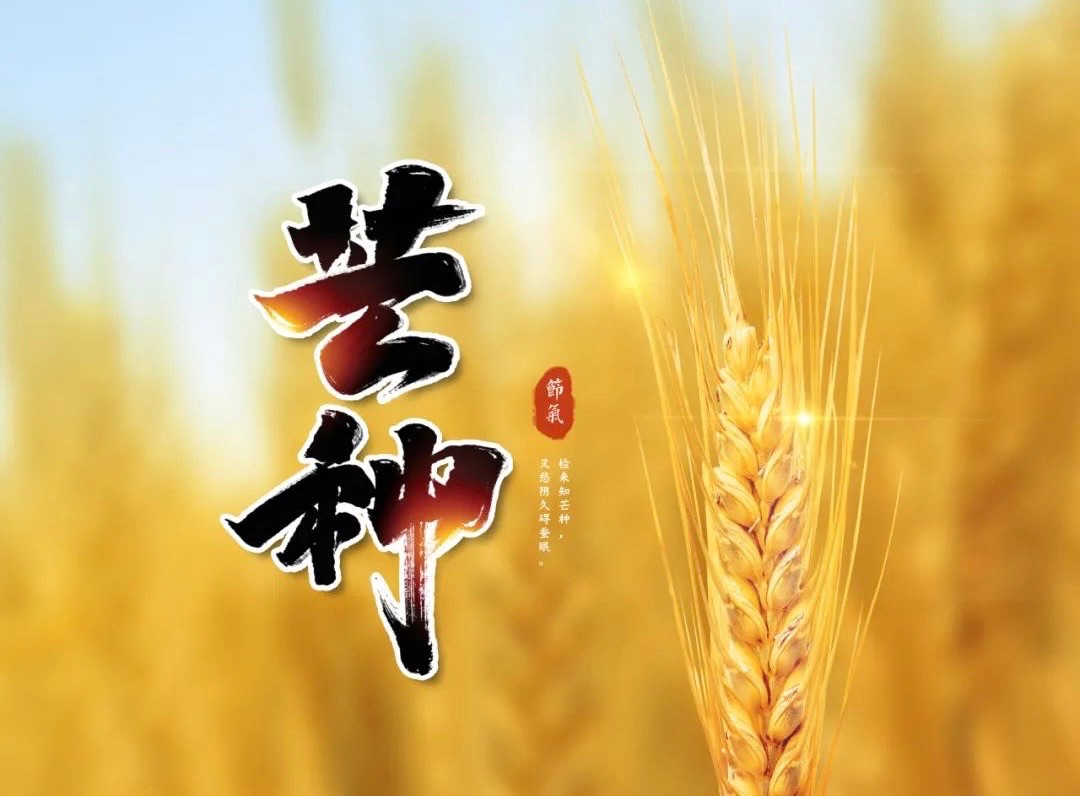 【诗歌大观】夏之歌（十首）||文/张道发（图4）