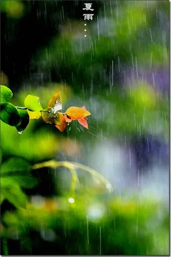 陕西张志民《夏雨》(图5)